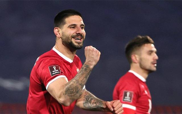 开云体育入口-包含塞尔维亚备战欧洲预选赛实力雄厚出征的词条