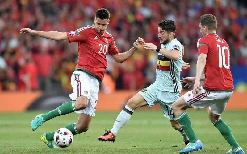 开云体育中国-比利时足球队晋级欧洲杯四强，表现抢眼